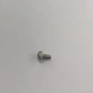 Screw